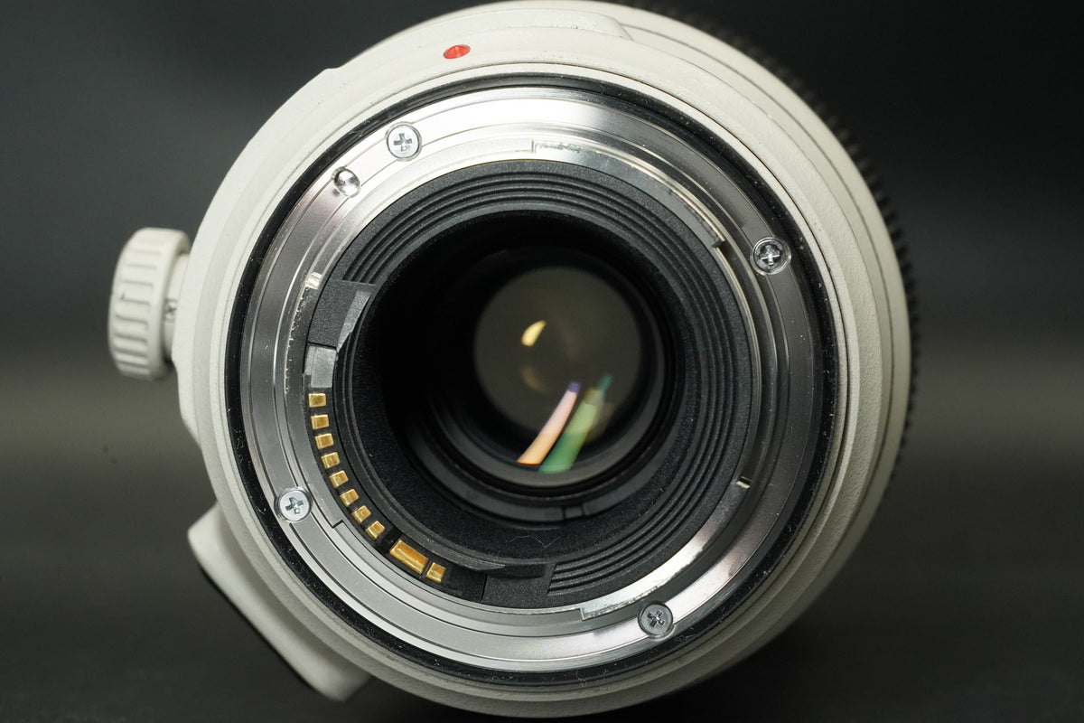 Canon EF 100-400mm F/4.5-5.6L IS II USM AF Zoom Lens #11981