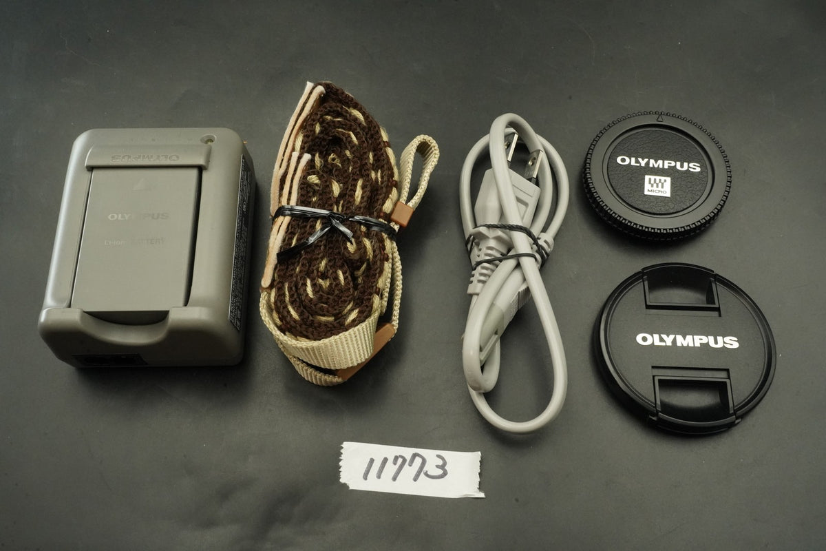 Olympus E-PL10 Camera 14-42mm 40-150mm Lens Brown -3094 cuts- US STOCK #11773