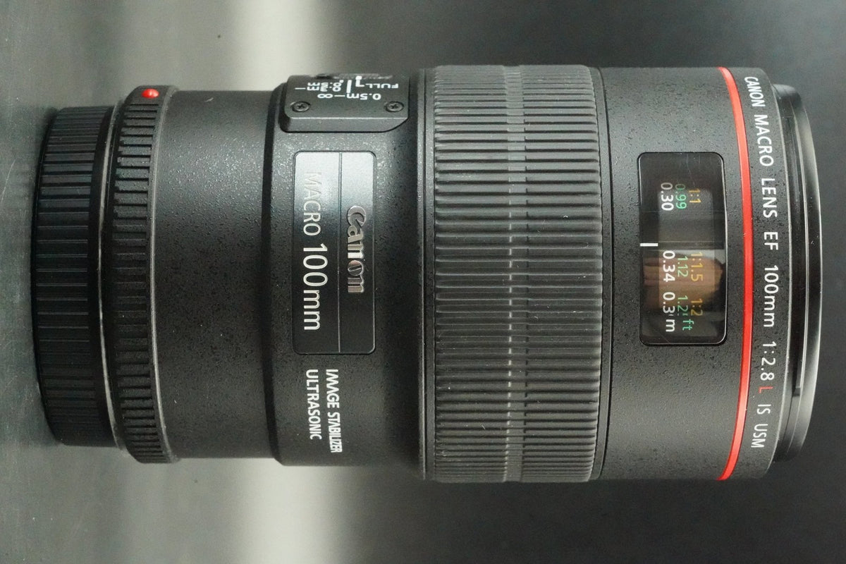 Canon EF 100mm F/2.8 L IS USM Macro Lens #12771