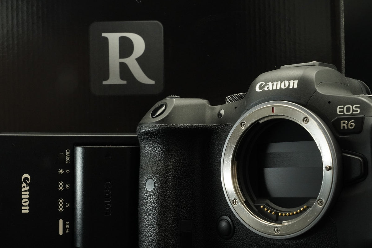 Canon EOS R6 20.1MP Mirrorless Camera US STOCK #11678