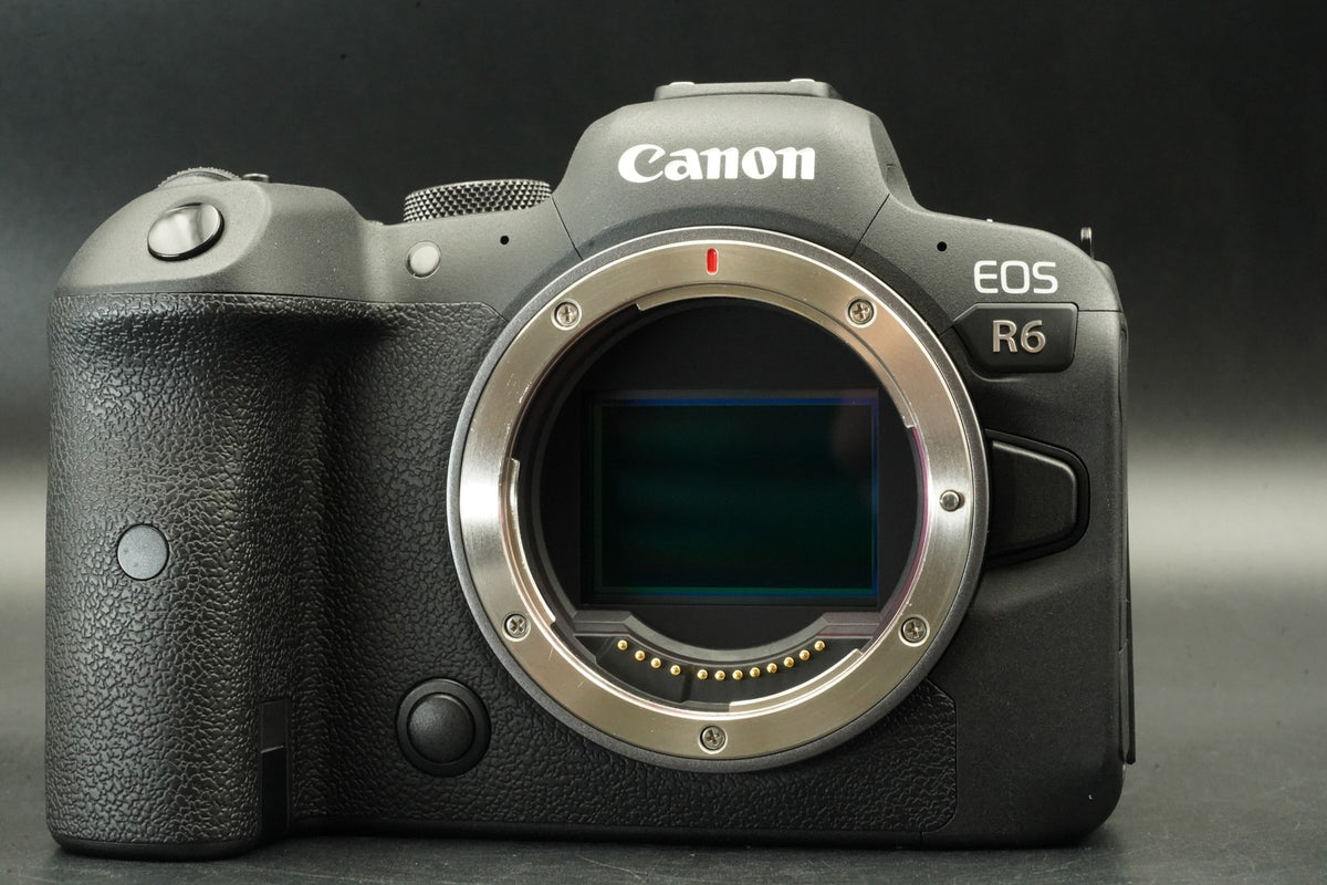 Canon EOS R6 20.1MP Mirrorless Camera -15% cuts- #12379