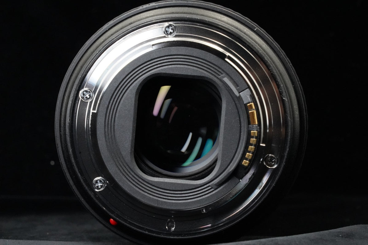 Canon EF 24-105mm f/4 L IS II USM Zoom Lens US STOCK #9951