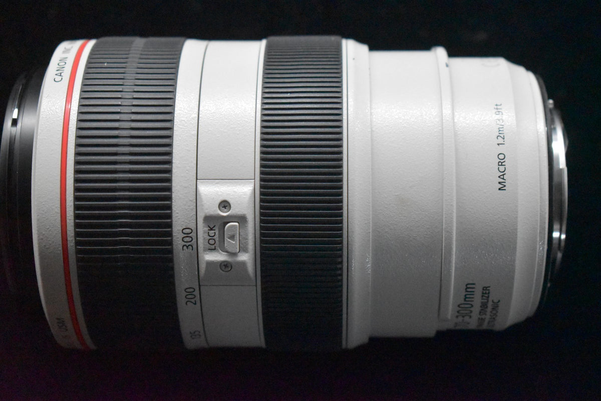[US Duty Paid] Canon EF 70-300mm f/4-5.6 L IS USM From JAPAN #8097