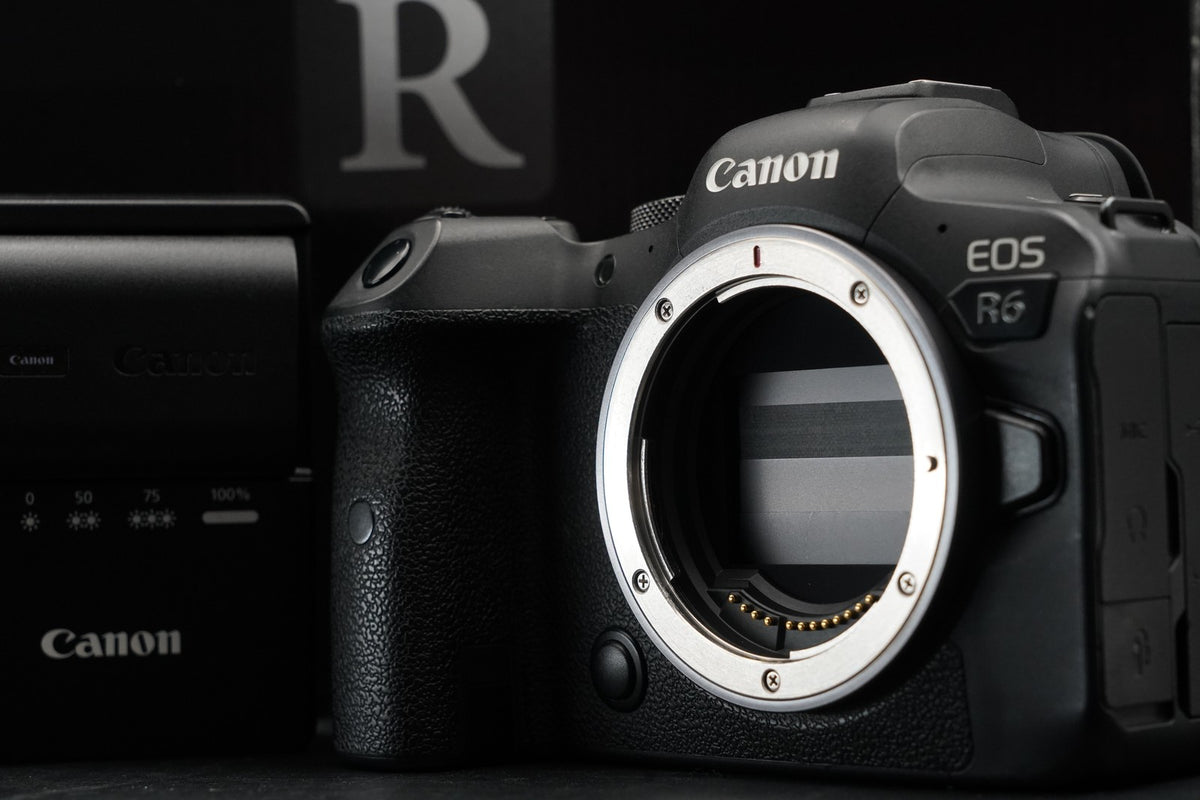Canon EOS R6 20.1MP Mirrorless Camera -270 cuts- #11471