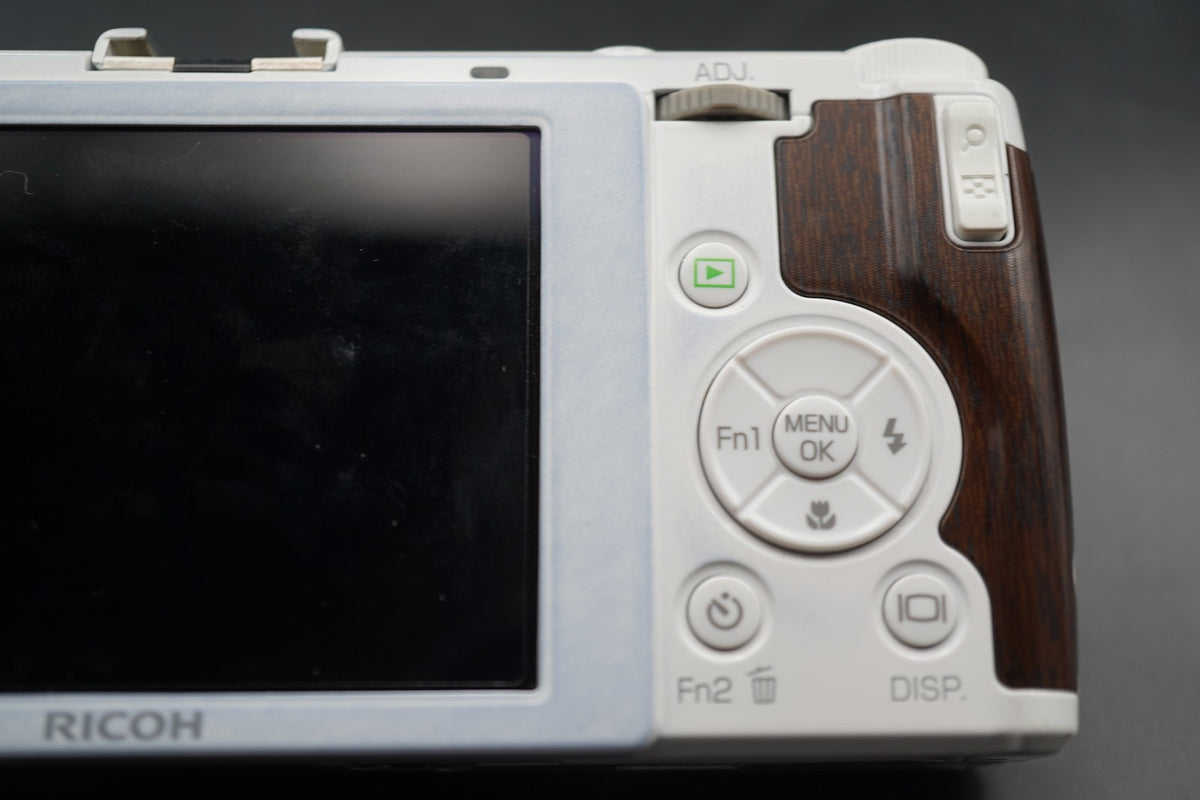 Ricoh GR Digital IV 10.4MP Digital Camera White -815 cuts- #11024