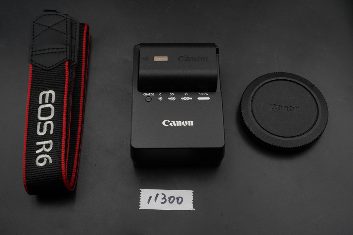 Canon EOS R6 20.1MP Mirrorless Camera -1200 cuts- US STOCK #11300