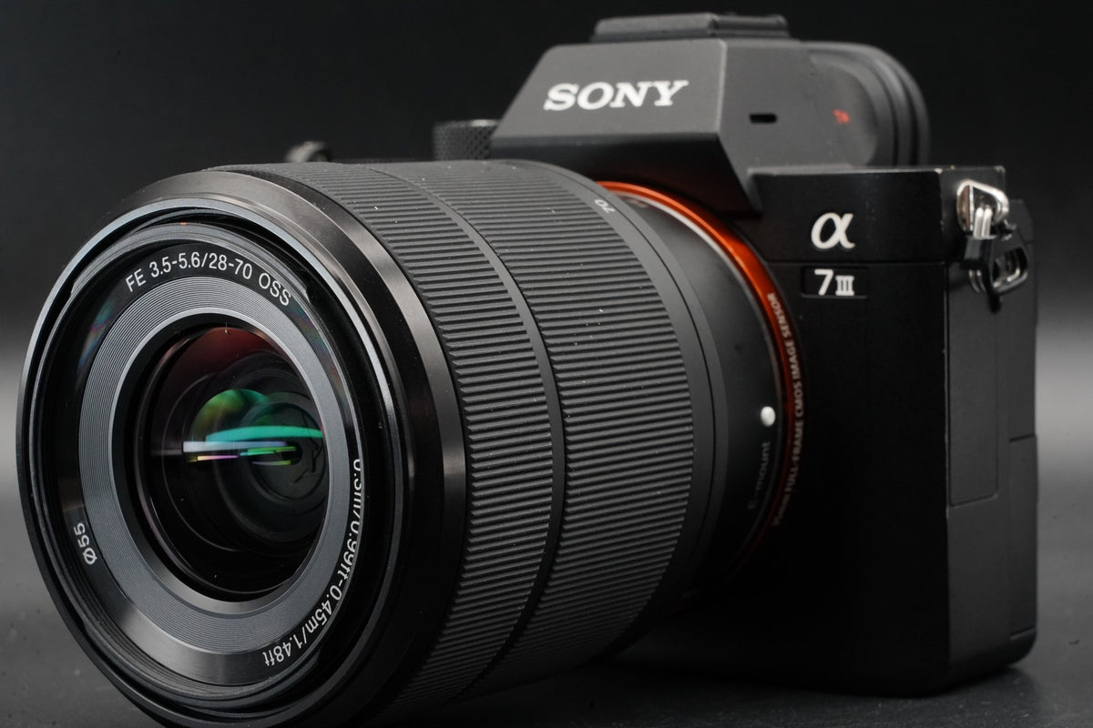 Sony Alpha a7 III ILCE-7M3 Mirrorless Digital Camera Lens 85807 cuts #10882