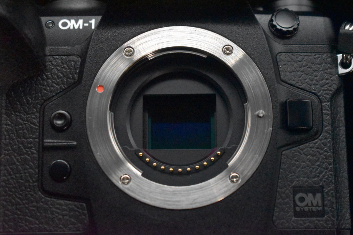 [US Duty Paid] OLYMPUS OM System OM-1 20.4MP Mirrorless Camera 8244