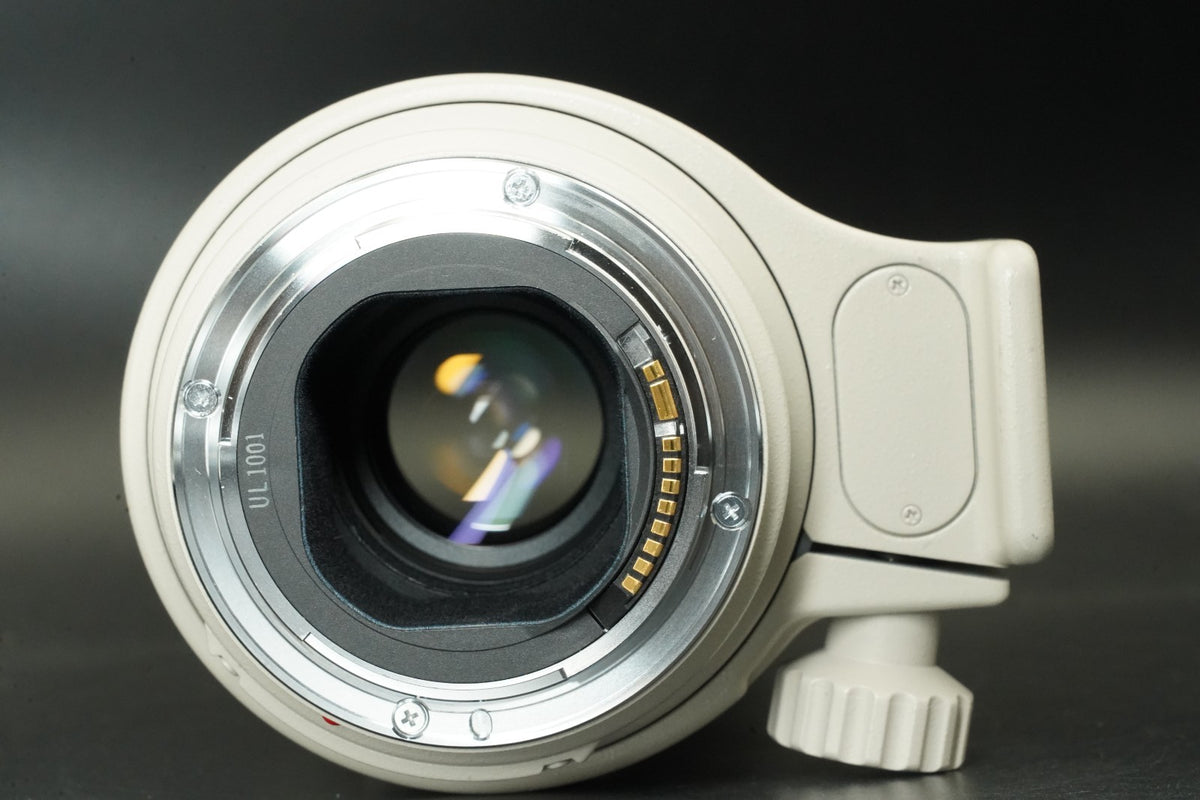 Canon EF 300mm f/4 L IS USM ULTRASONIC Lens #11904