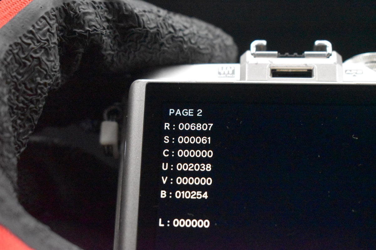 6807 Schuss! [US Duty Paid] Olympus E-PL8 mit 40-150mm Objektiv...