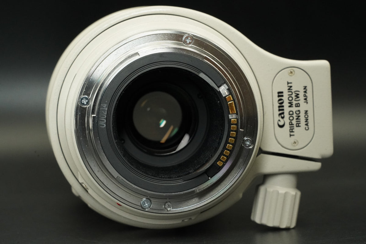 Canon EF 100-400mm f/4.5-5.6 L IS USM AF Zoom Lens US STOCK #12226