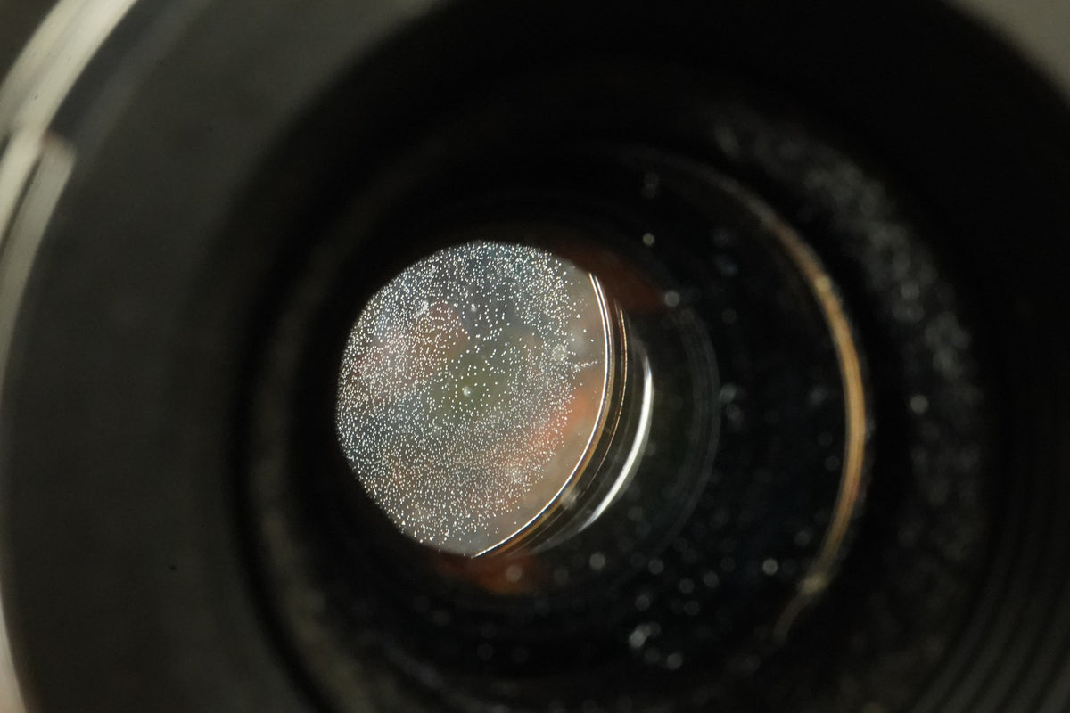 Canon EF 100mm f/2.8 Macro USM Prime Lens From JAPAN US STOCK #12229