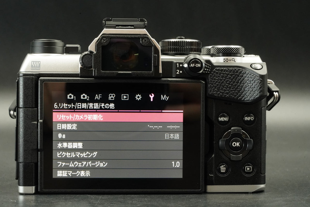 OM SYSTEM OM-5 Mirrorless Camera Silver JAPANESE ONLY -460 cut- #12388