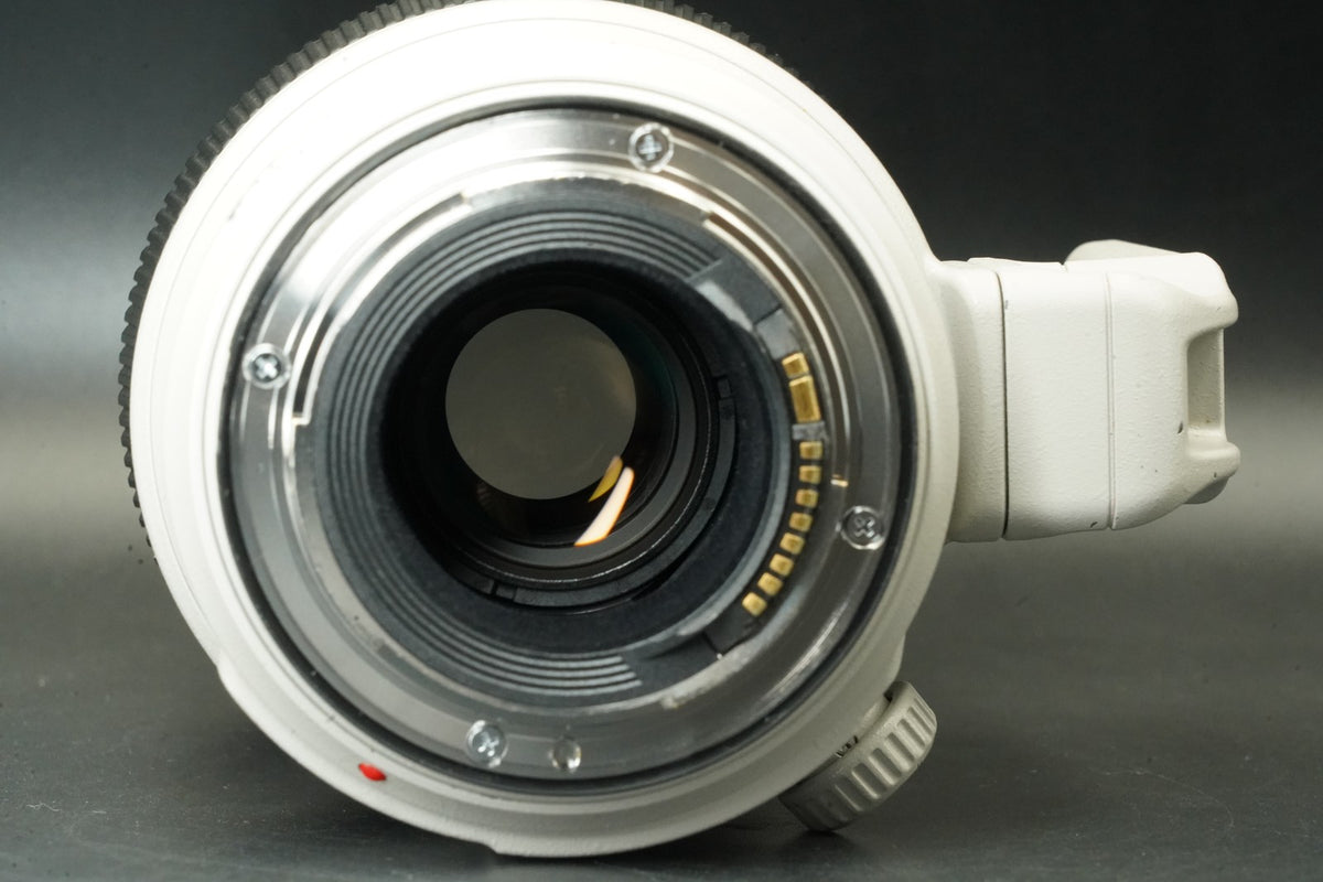 Canon EF 100-400mm f/4.5-5.6 L IS II USM AF Zoom Lens #12355