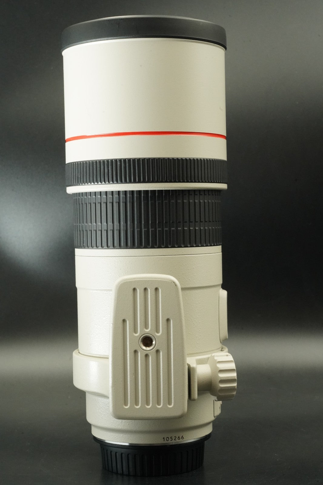 Canon EF 300mm f/4 L IS USM ULTRASONIC Lens #11904