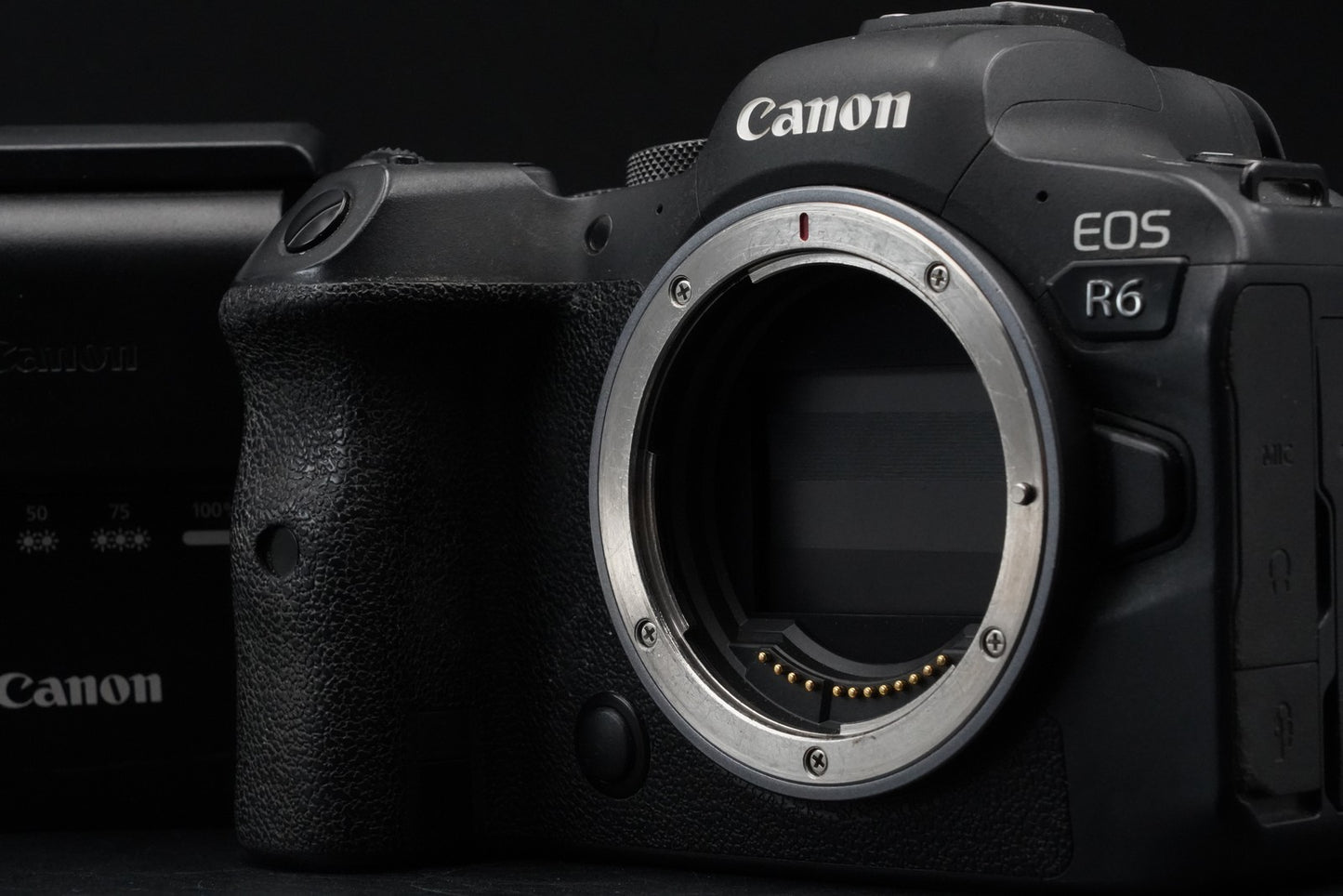 [ US DUTY PAID ] Canon EOS R6 20.1MP Mirrorless Camera 11062