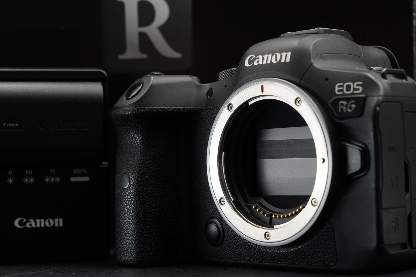 Canon EOS R6 20.1MP Mirrorless Camera 11678