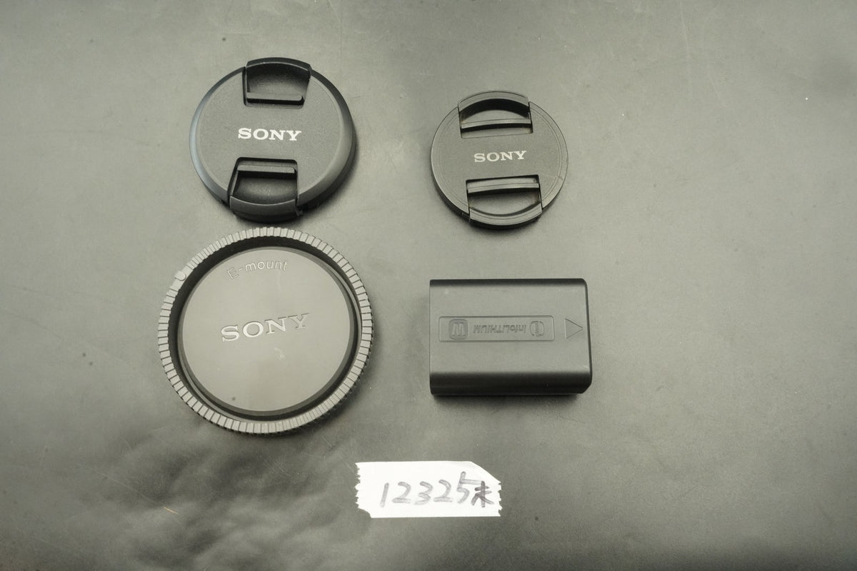 Sony a6000 Digital Mirrorless Camera Silver w/ 16-50 + 55-210mm US STOCK #12325