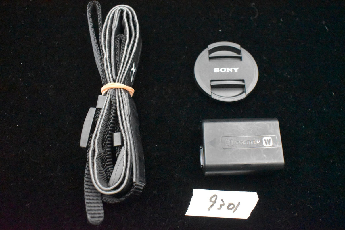 [US Duty Paid] Cámara digital sin espejo Sony a6000 con lente plateada 9301