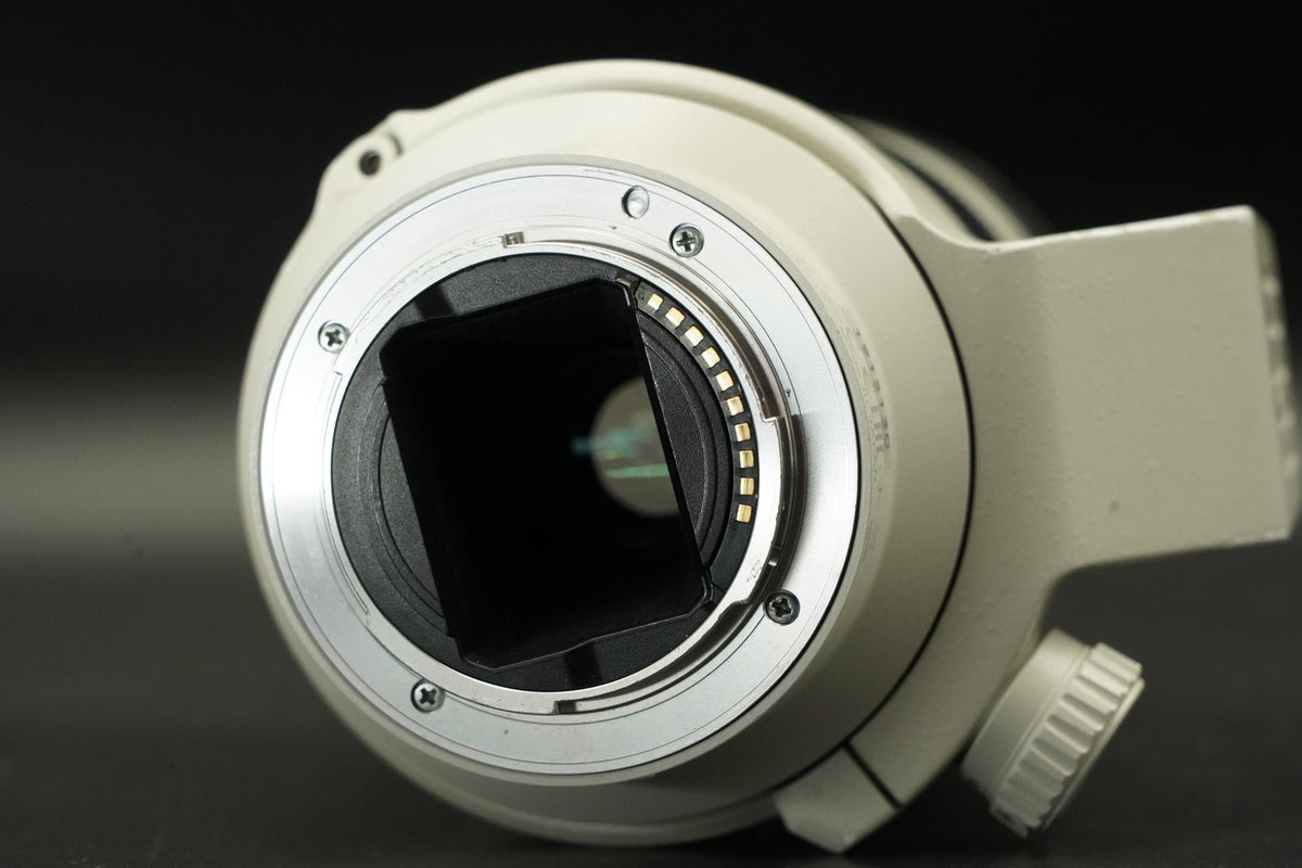 SONY FE 70-200mm F/4 G OSS SEL70200G for SONY E mount #11956