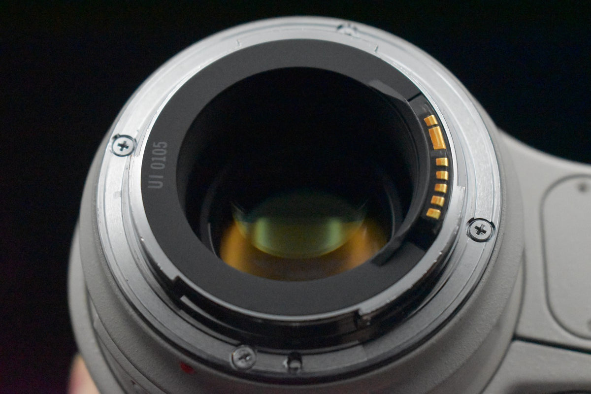 [US Duty Paid] Canon EF 35-350mm f/3.5-5.6 L USM Zoom Teleobiettivo 9107