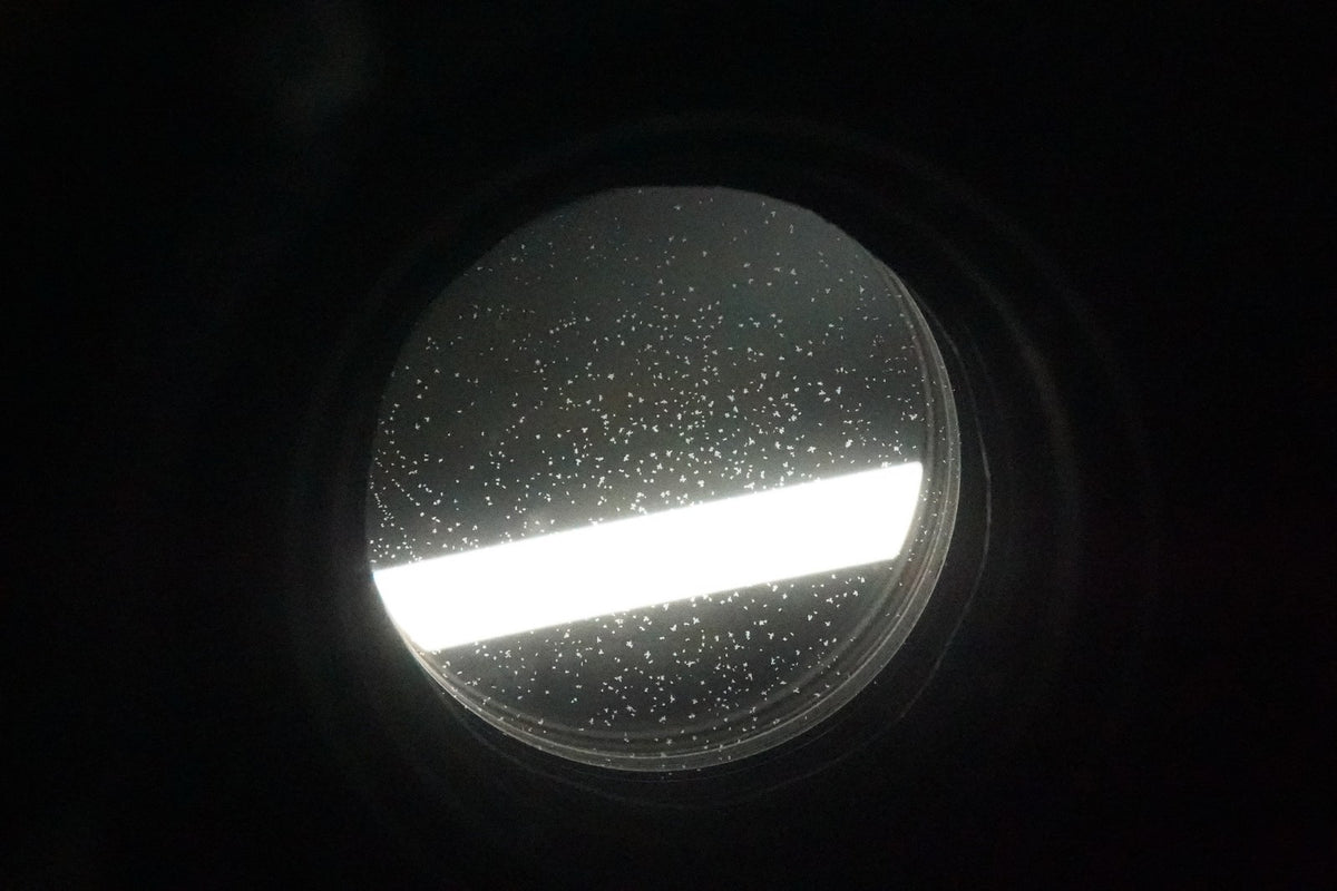 Nikon AF-S NIKKOR 300mm f/2.8 G IF-ED Lens #12866