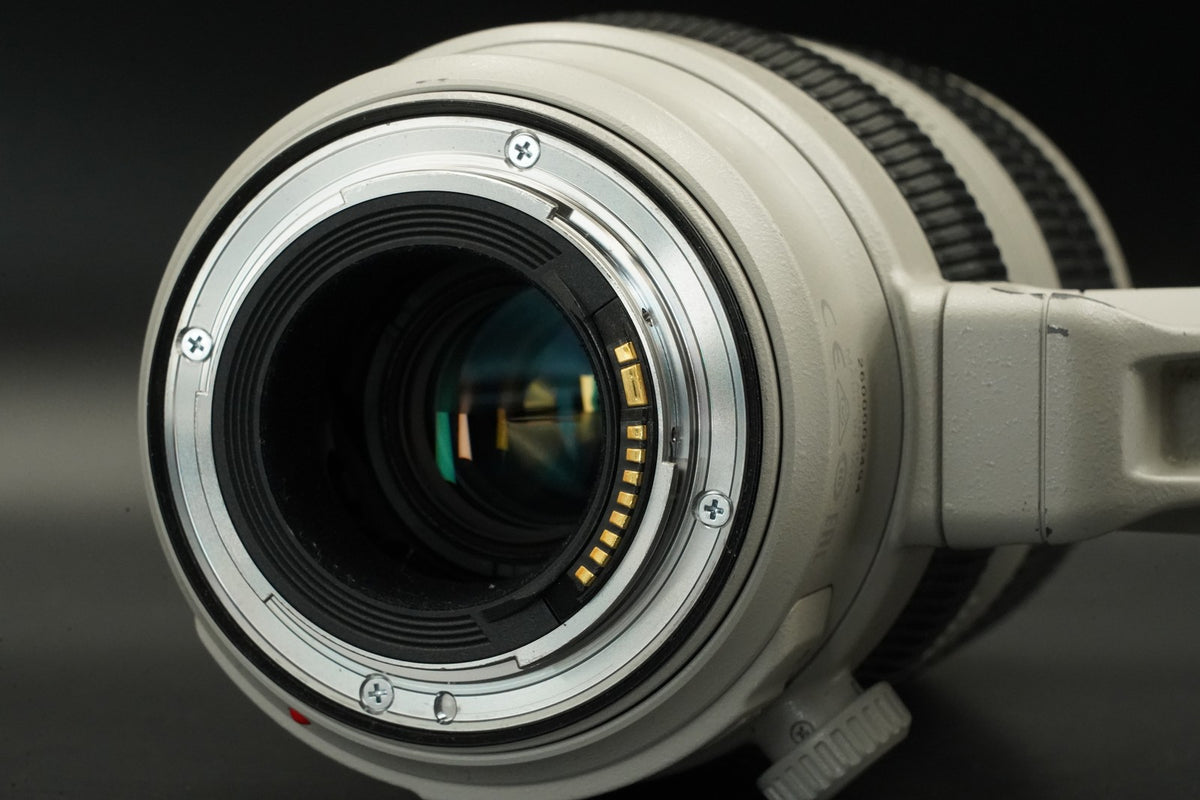 Canon EF 100-400mm f/4.5-5.6 L IS II USM AF Zoom Lens US STOCK #11560