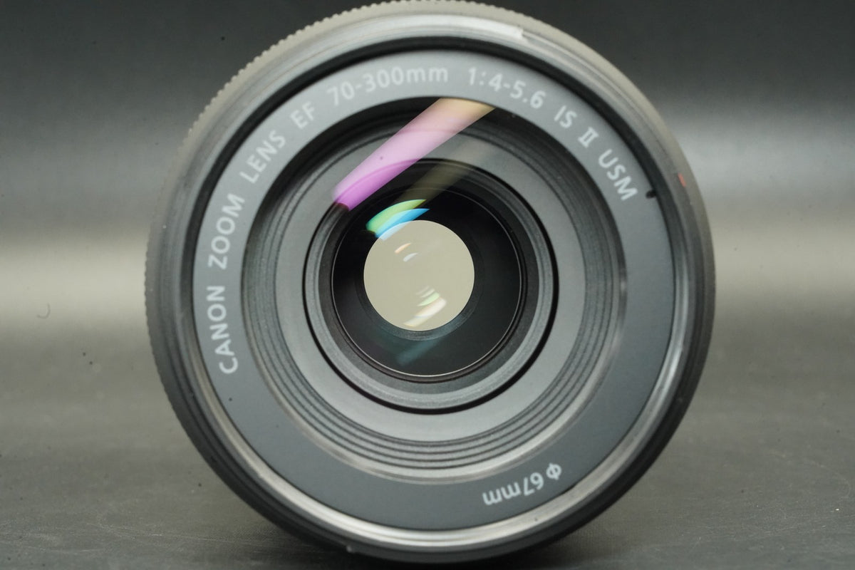 Canon EF 70-300mm f/4-5.6 IS II USM Zoom Lens #12384