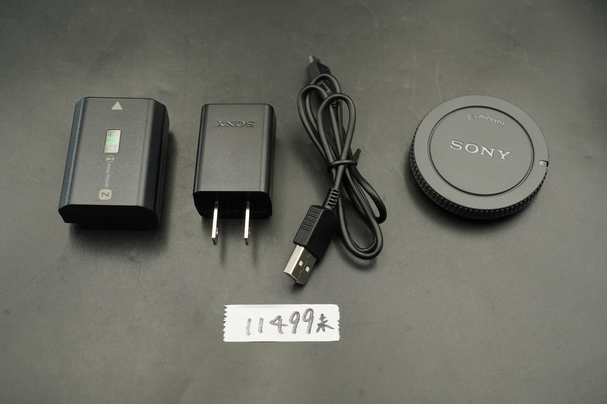 Sony Alpha a6600 ILCE-6600 English Language ONLY "2" cuts!! #11499