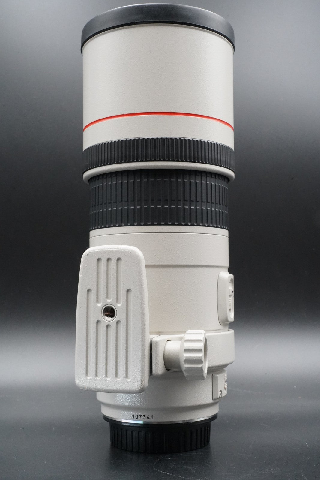 Canon EF 300mm f/4 L IS USM ULTRASONIC Lens US Duty Paid 10970