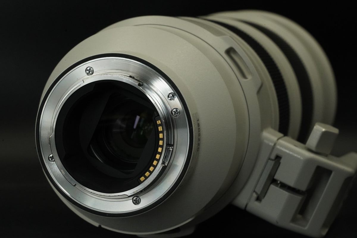 Sony FE 200–600mm f/5.6–6.3 G OSS SEL200600G #11895 #11855