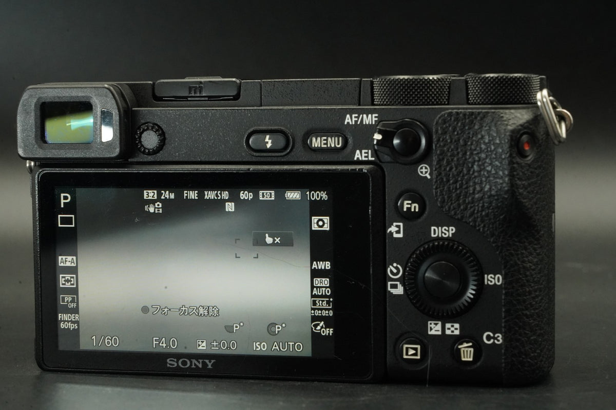 Sony Alpha a6500 ILCE-6500 w/ E 18-135mm f/3.5-5.6 -10571 cuts- US STOCK #11718