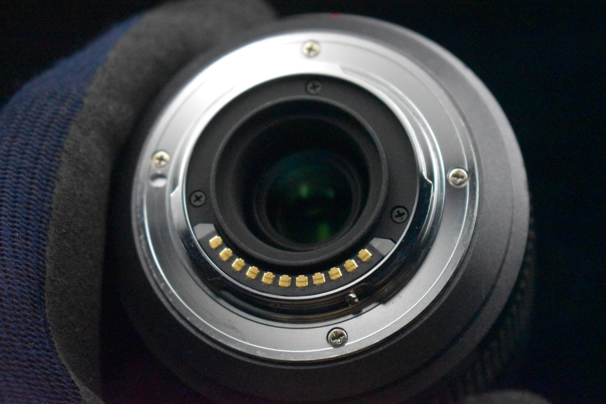 Panasonic Lumix G Vario 45-200mm f/4-5.6 Mega O.I.S Lens [] US STOCK #9048