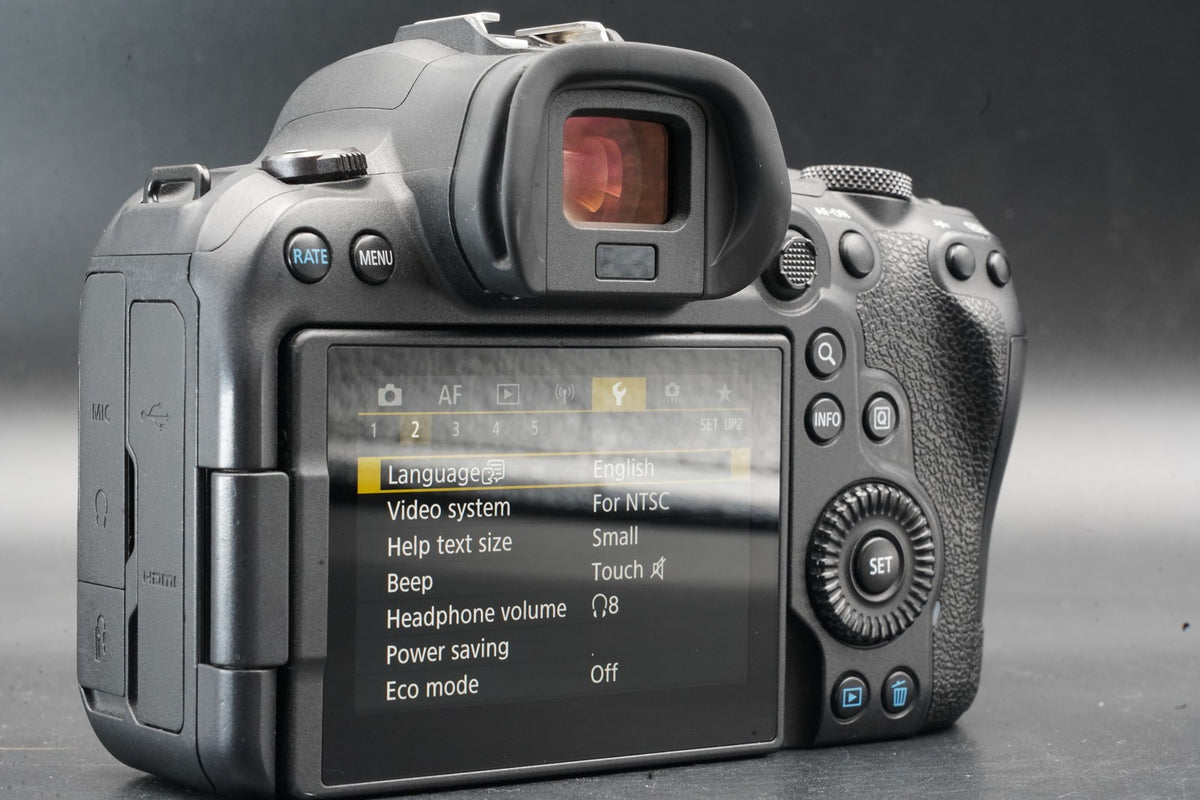 Canon EOS R6 20.1MP Mirrorless Camera -270 cuts- #11471