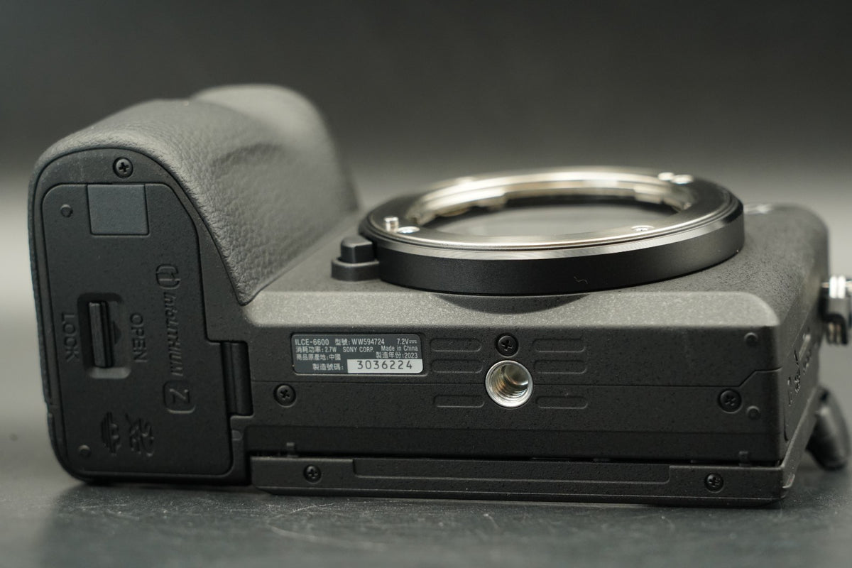 Sony Alpha a6600 ILCE-6600 English Language ONLY "2" cuts!! #11499