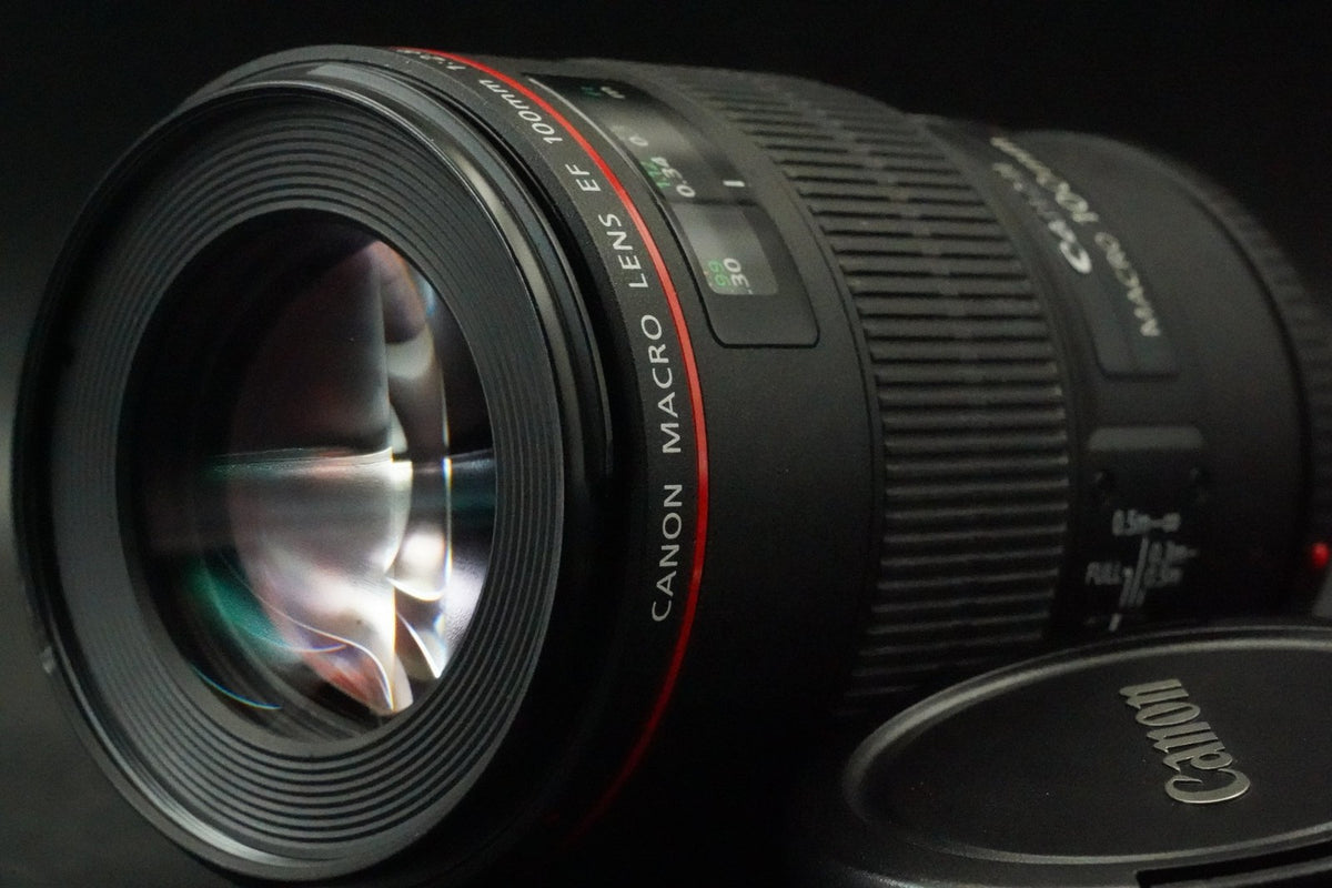 Canon EF 100mm F/2.8 L IS USM Macro Lens #12771