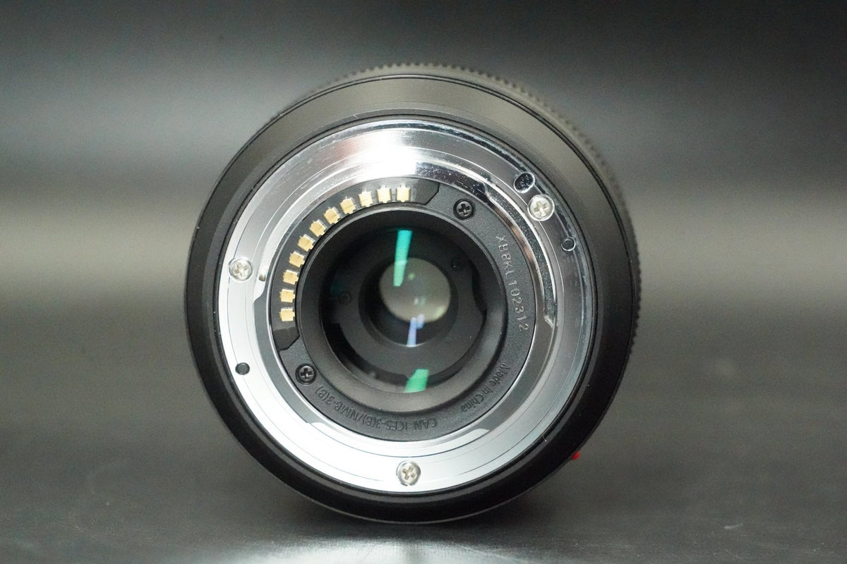 Panasonic LUMIX G Vario 12-60mm f/3.5-5.6 ASPH H-FS12060 #12762