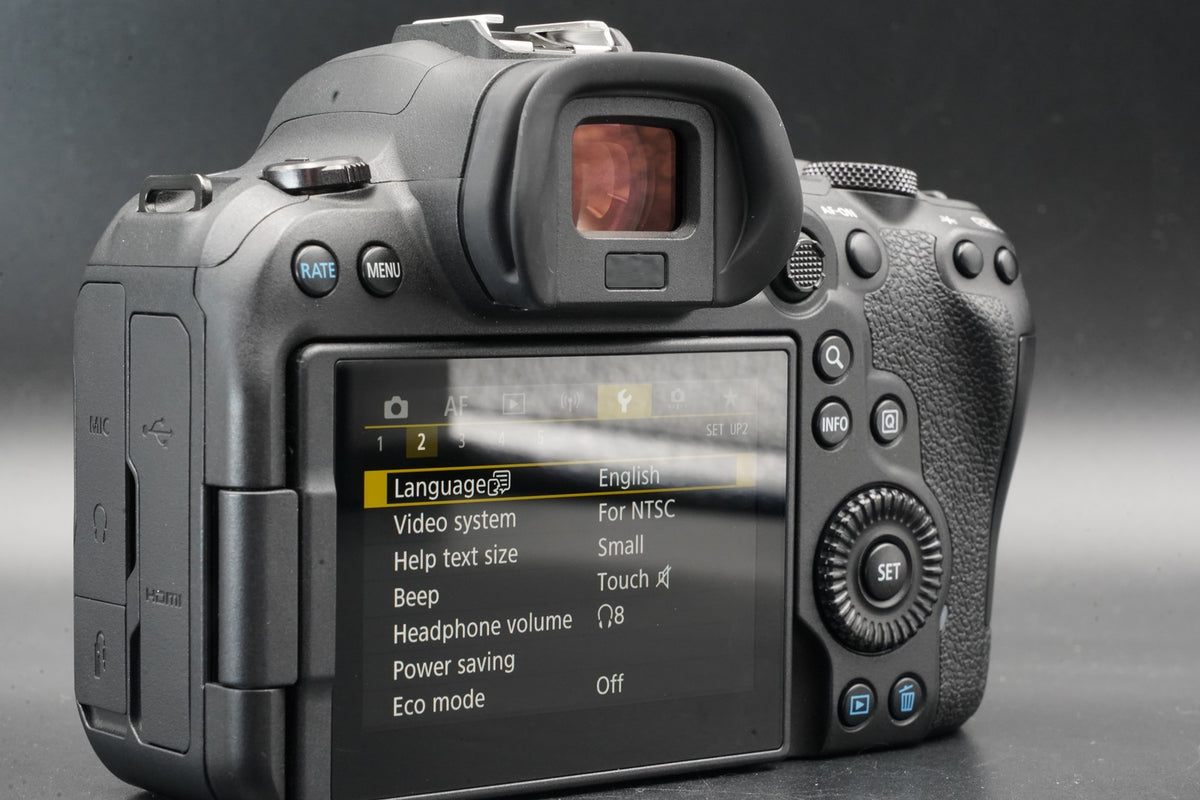 Canon EOS R6 20.1MP Mirrorless Camera -1200 cuts- #11354