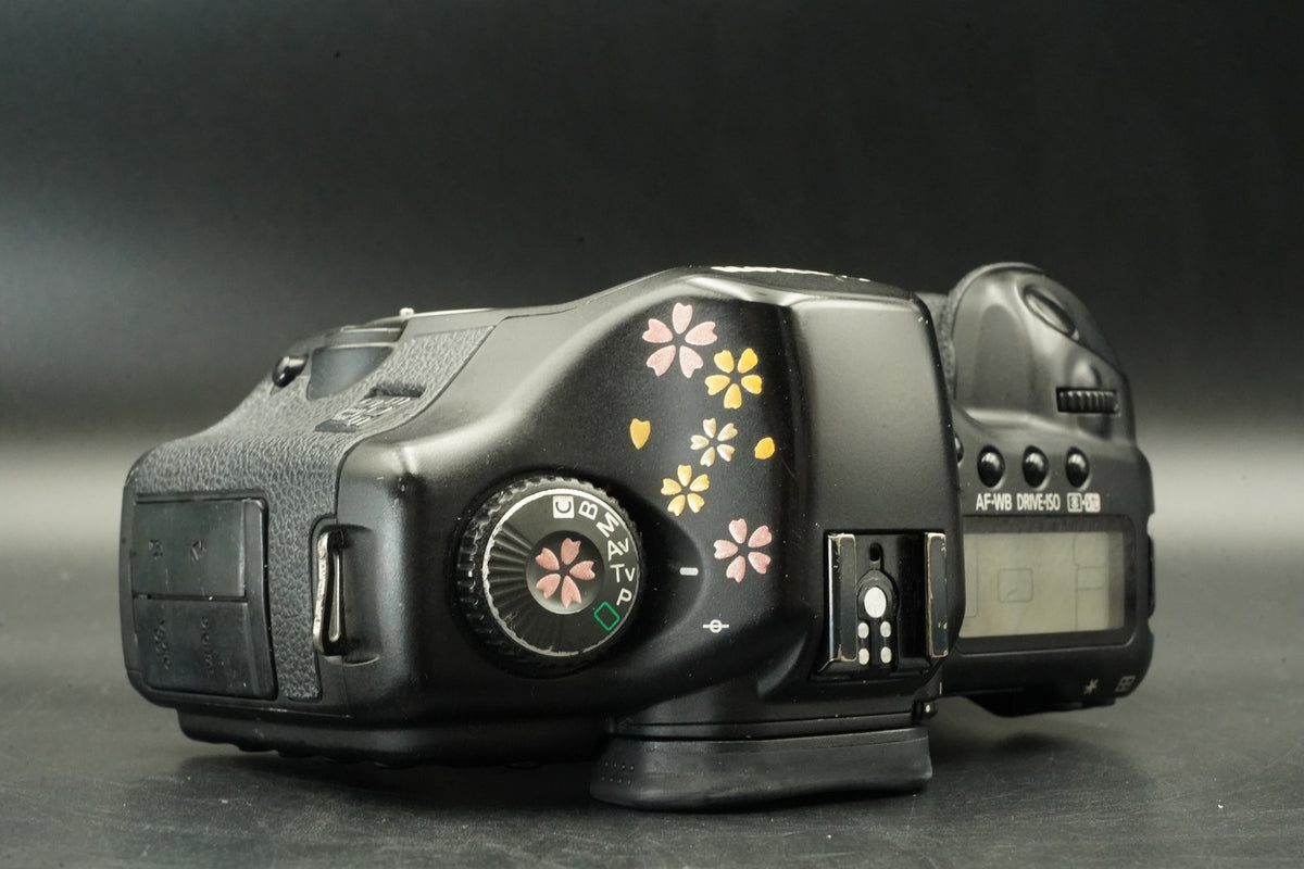 Canon EOS 5D Digital SLR Full Frame Camera Body Only #12437