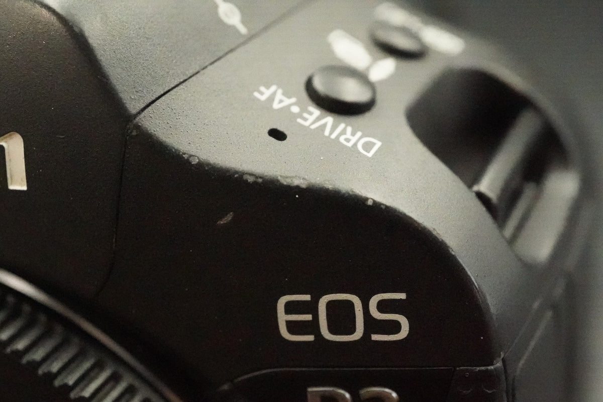 Canon EOS R3 Mirrorless Digital Camera -240K (48%) cuts- #12730