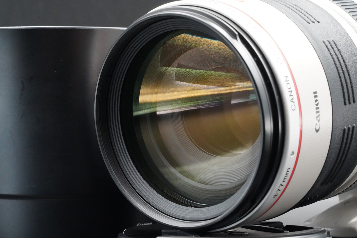 Canon EF 100-400mm f/4.5-5.6 L IS USM AF Zoom Lens US STOCK #11004