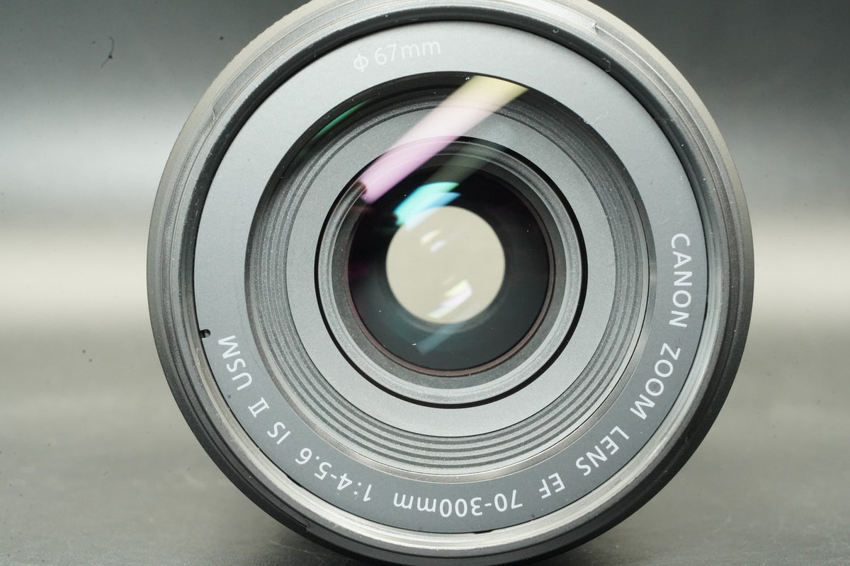 Canon EF 70-300mm f/4-5.6 IS II USM Zoom Lens #12123