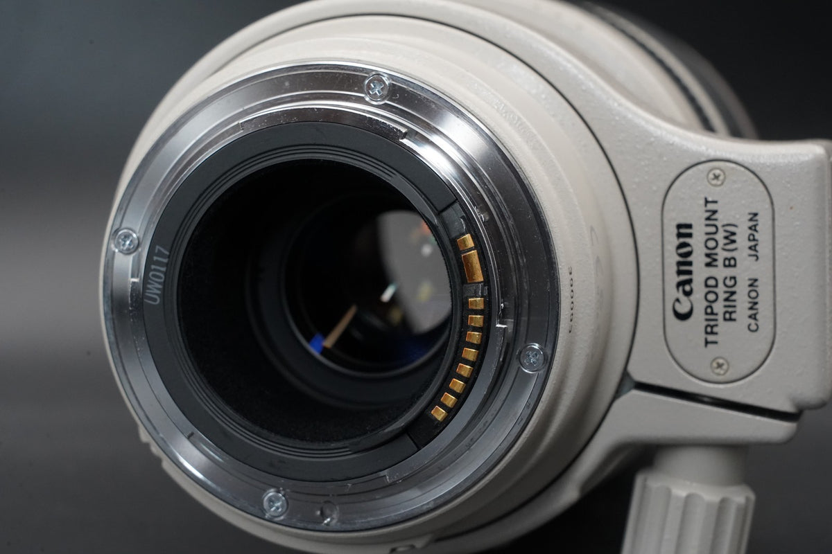 Lente zoom Canon EF 100-400 mm f/4,5-5,6 L IS USM AF STOCK EN EE. UU. #11002