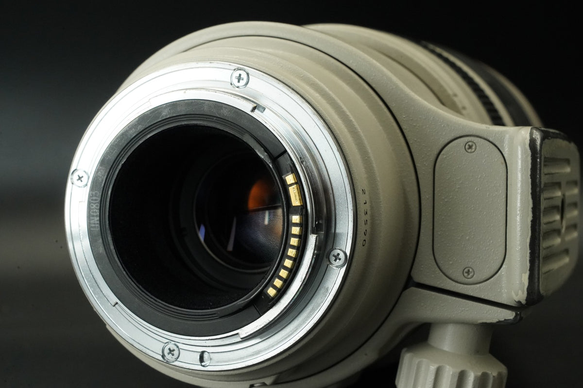Canon EF 100-400mm f/4.5-5.6 L IS USM AF Zoom Lens #11806