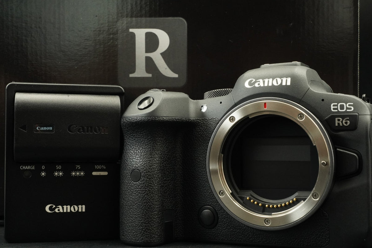 Canon EOS R6 20.1MP Mirrorless Camera -15% cuts- #12379