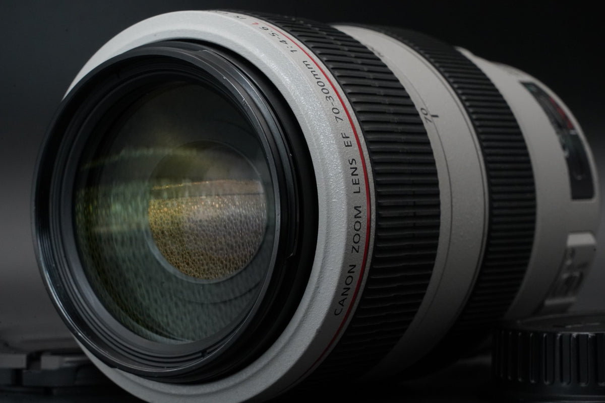Canon EF 70-300mm f/4-5.6 L IS USM Lens US STOCK #11731