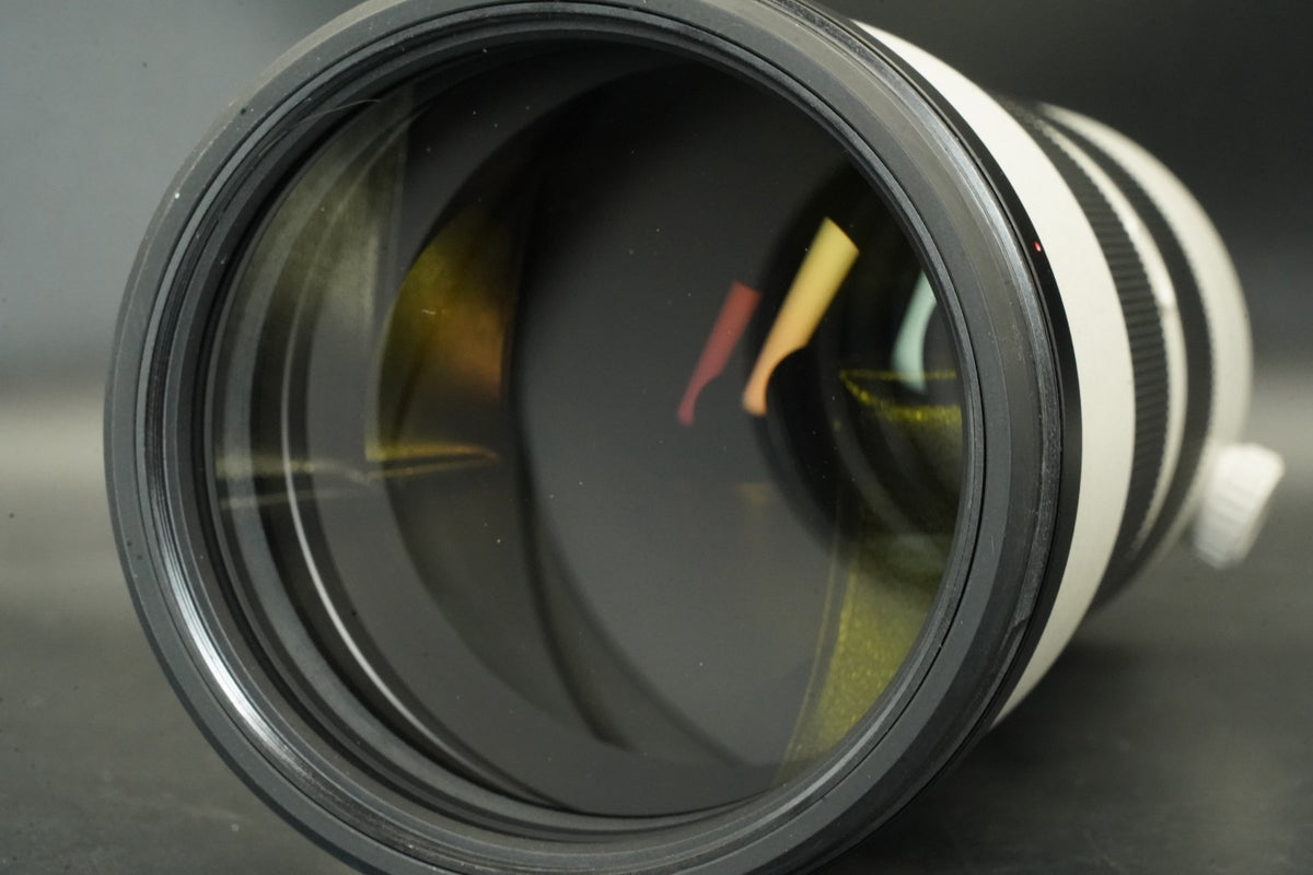 Sony FE 200–600mm f/5.6–6.3 G OSS SEL200600G #11895 #11855