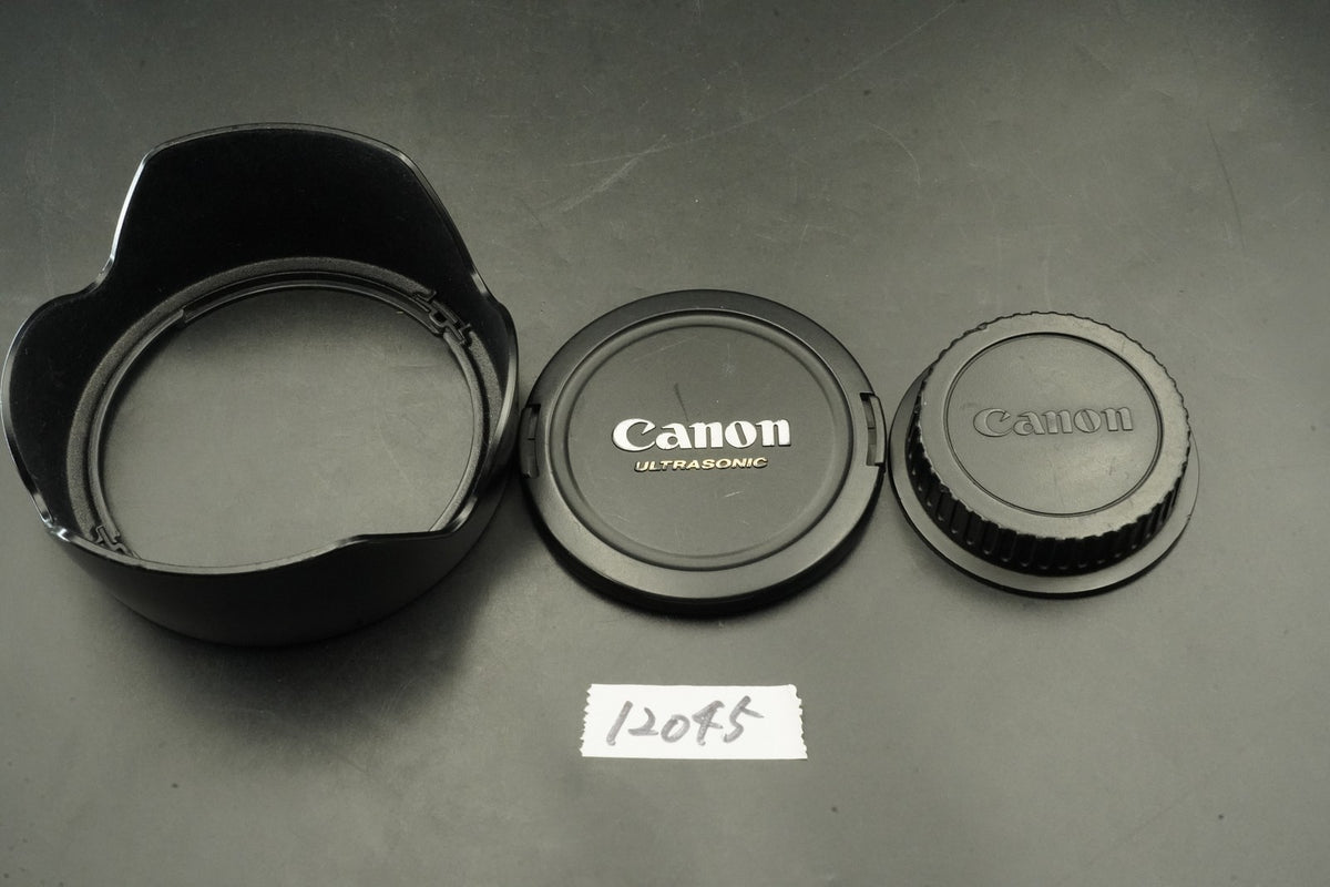 Canon EF 24-105mm f/4 L IS USM Zoom Lens EF Mount #12387