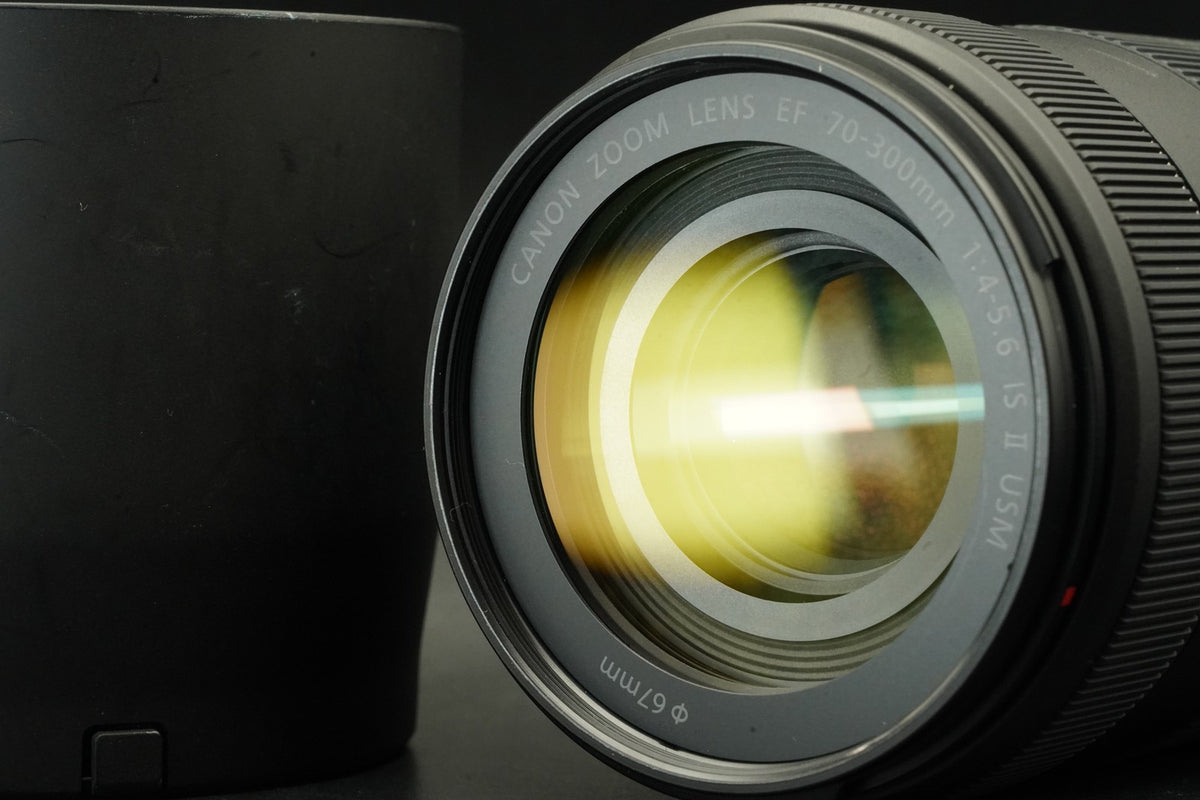 Canon EF 70-300mm f/4-5.6 IS II USM Zoom Lens #12123