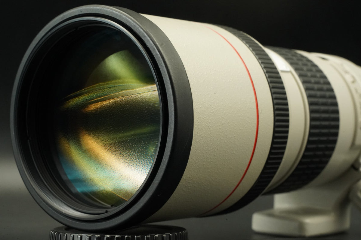 Canon EF 300mm f/4 L USM NON-IS ULTRASONIC Lens #12214